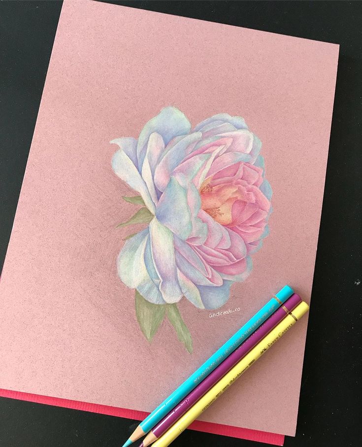 a drawing of a pink flower with two colored pencils next to it on a piece of paper