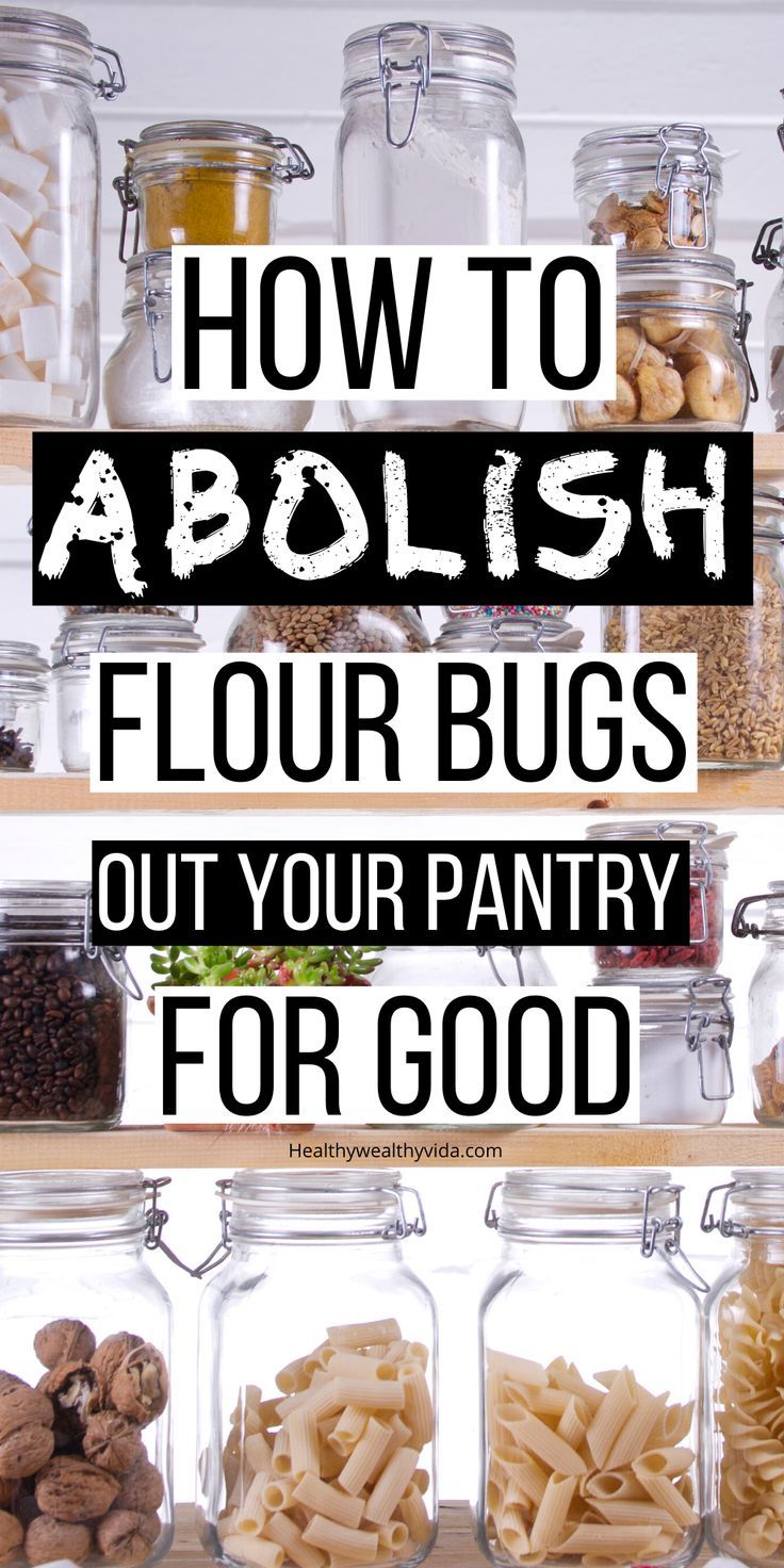 jars filled with food and labeled how to abollish flour bugs out your pantry for good