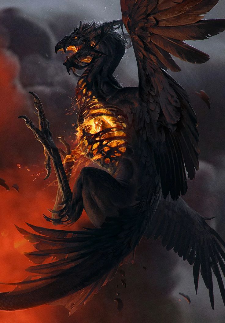 The phoenix is a sentient avian-draconid able to live for ages due to an ability to burn out when feeling weak and rise again from the ashes of its own body. They are rare and almost completely undiscovered, to the point when many witchers believe they are just mythical beasts of human fables. A phoenix might have been the origin of Raróg myth, a fiery deity worshipped in the East. Wings Flying, Witcher Art, Heroic Fantasy, Phoenix Art, Fantasy Monster, Mythical Creatures Art, Mystical Creatures, 판타지 아트, Fantasy Illustration