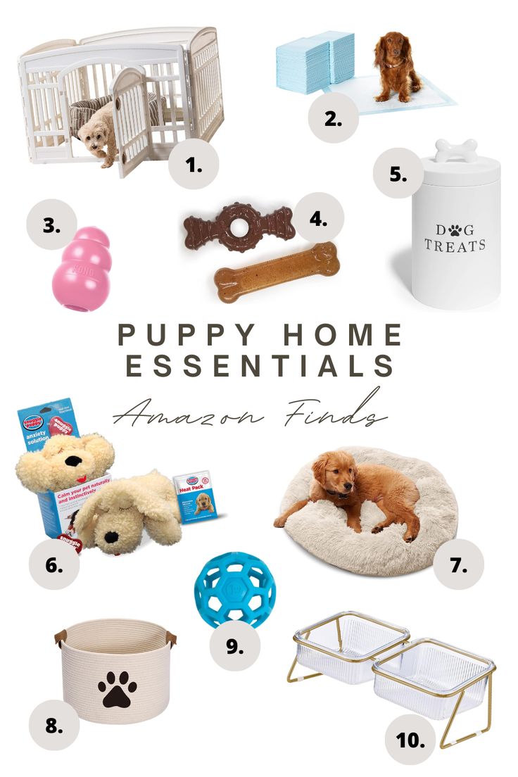 the puppy home essentials are on display with their names and price tags for each item