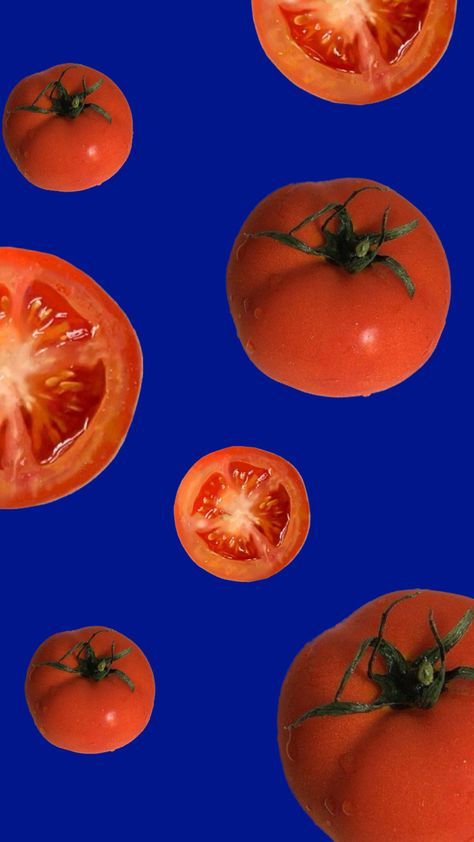 several tomatoes are shown on a blue background