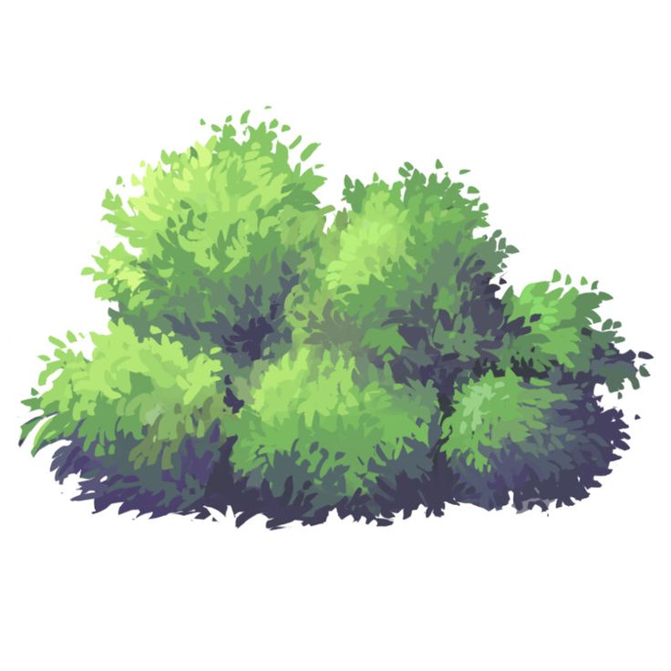 an illustration of some green bushes on a white background