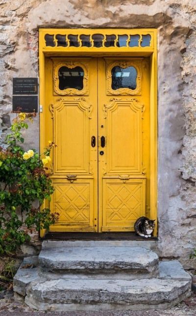 a yellow door with two cats sleeping on the steps in front of it next to some flowers