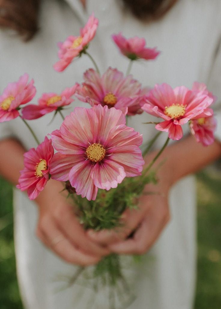 a woman holding pink flowers in her hands