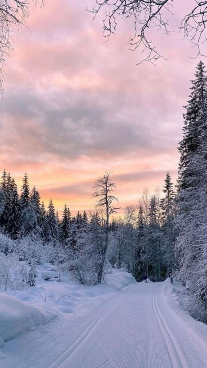 a snow covered road surrounded by trees under a pink and blue sky with clouds in the background