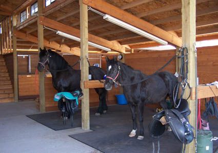 two horses are standing in the stable with saddles on their backs and one horse is looking at the camera