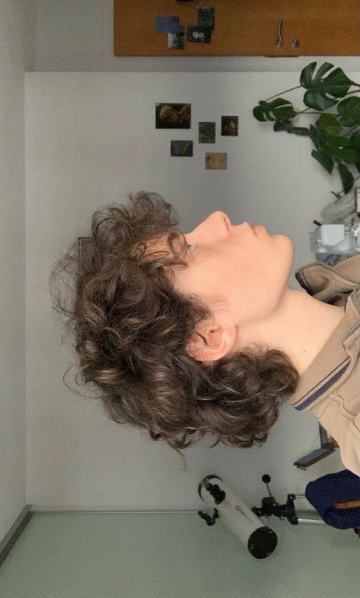 Masculine Haircut Curly Hair, Cute Curly Mullet, Mullet Hairstyle Curly Hair Men, Skater Mullet Curly, Curly Mullet Undercut, Short Shaggy Mullet Curly, Cute Perms For Short Hair, Mullet Haircut Woman Curly, Short Curly Modern Mullet