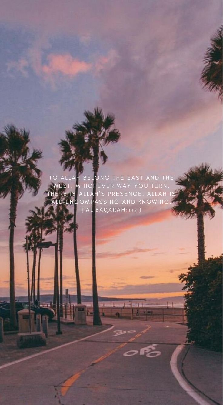 palm trees line the street as the sun sets over the ocean and beach in the background