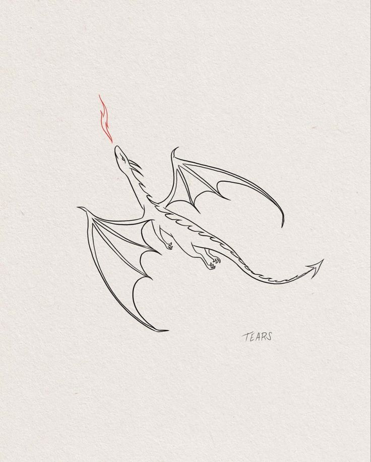 a drawing of a dragon flying through the air