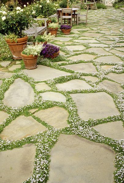 a stone walkway with potted plants and benches in the back ground, surrounded by flowers