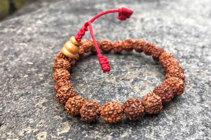 Rudraksha wrist mala with adjustable knot. Comes with 25 beads and Guru bead. Pull the knot at the end of guru bead for adjusting size. Bead size: 8mm Traditional Red Bracelets For Meditation, Adjustable Red Beaded Bracelets For Meditation, Traditional Hand-strung Stretch Bracelet For Gift, Traditional Hand-strung Rosary Bracelet Gift, Red Spiritual Beaded Bracelets For Meditation, Red Bracelets With 8mm Beads For Meditation, Red Beaded Bracelets For Meditation 8mm, Red Meditation Bracelets With 8mm Beads, Traditional Hand-strung Stretch Bracelet With Round Beads