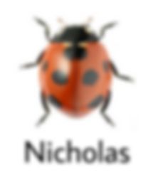 a ladybug with the word nicholas on it