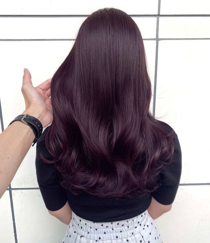 4vv Hair Color, Global Grape Hair Color, Deep Purple Brown Hair, Cassis Purple Hair, Violet Auburn Hair, Black Violet Hair Color, Dark Purple Brown Hair, Eggplant Hair Color Dark, Plum Hair Color On Black Women