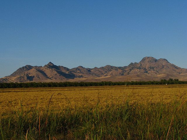 a field with mountains in the background and grass on the foreground, under a blue sky