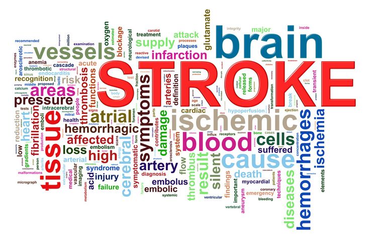 Image result for photos for stroke Blood And Bone, Laparoscopic Surgery, Emergency Preparation, Care Hospital, Family Medicine, Gut Bacteria, Neurological Disorders, Health Articles, Blood Vessels