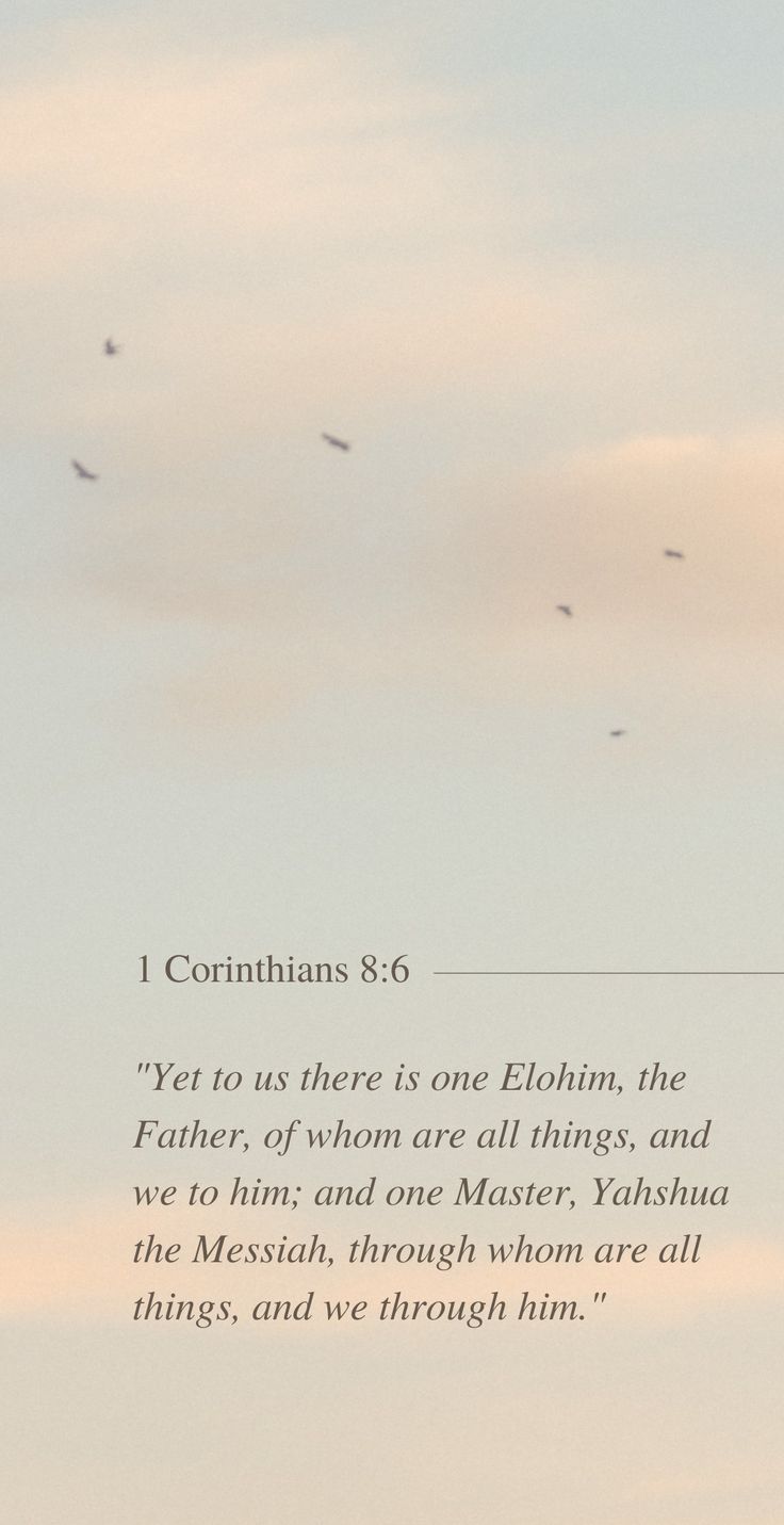 Bible verse-1 Corinthians 8:6 New Testament Verses, New Testament Bible, Wallpaper Bible, Verse Wallpaper, Verses Wallpaper, Bible Motivation, Daily Bible Verse, Bible Verse Wallpaper, Daily Bible