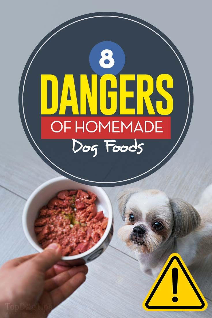 a dog is eating out of a bowl with the words 8 dangers of homemade dog foods