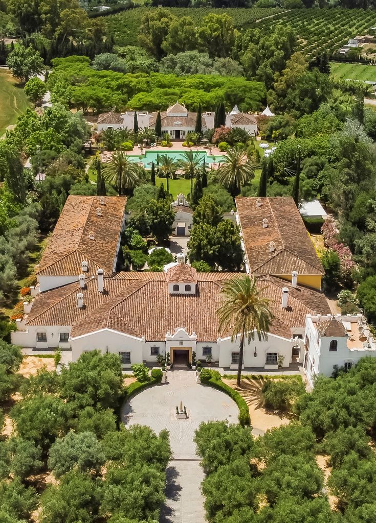 an aerial view of a mansion surrounded by trees