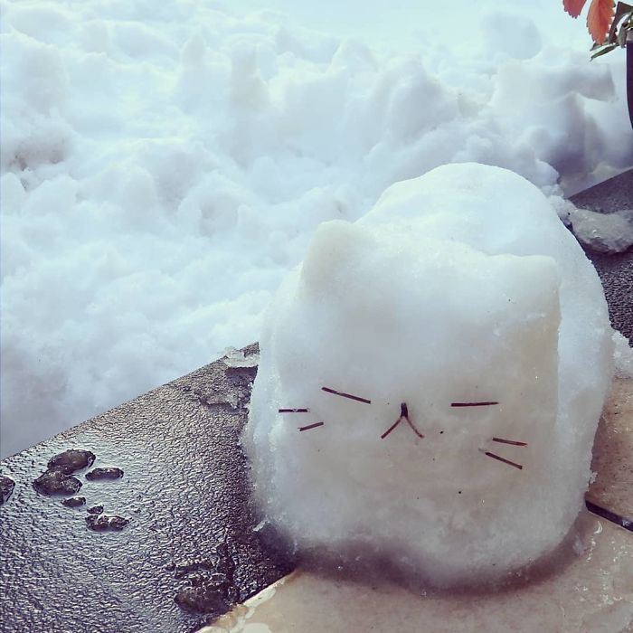 a snowball shaped like a cat sitting in the snow