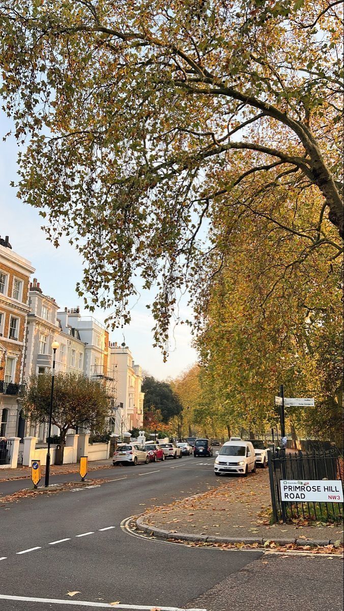 an empty street with cars parked on the side and trees lining the road in front