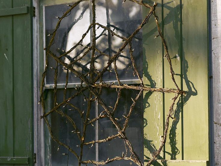 an old window with vines growing out of it