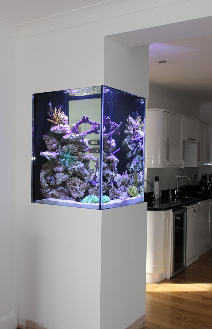 an aquarium in the corner of a kitchen