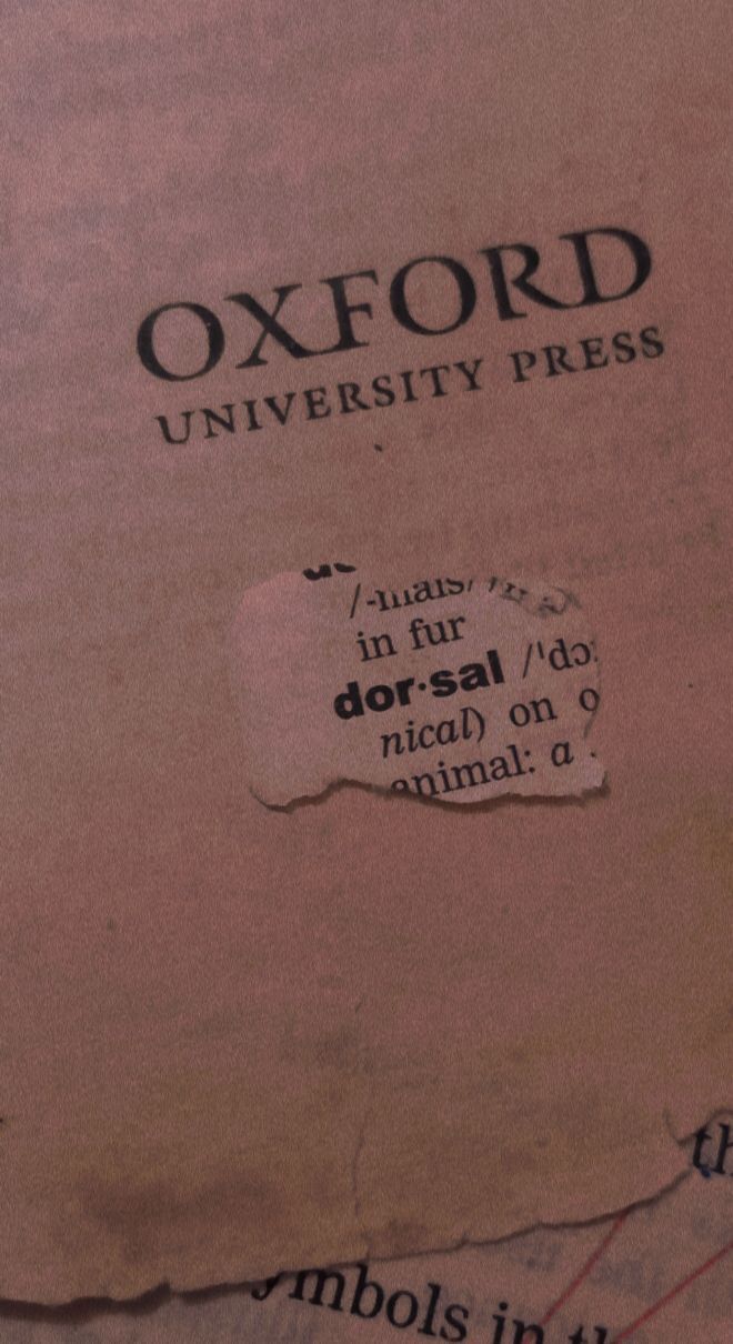 a piece of paper with the words oxford on it