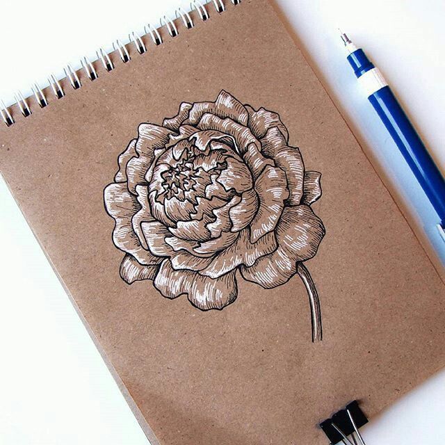 a drawing of a flower on a piece of brown paper next to a blue pen