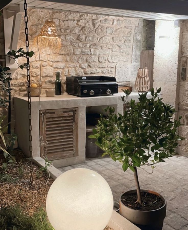 a potted plant sitting on top of a stone floor next to a grill and oven