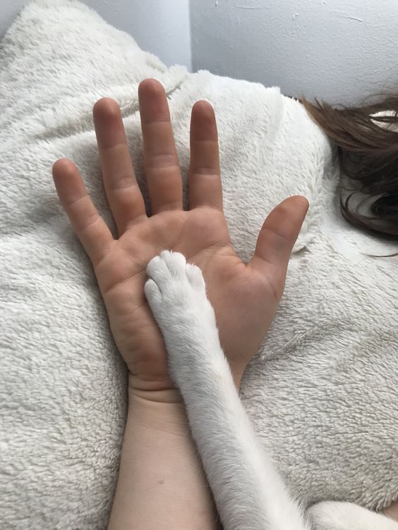 a woman is laying down with her hand on top of the cat's paw