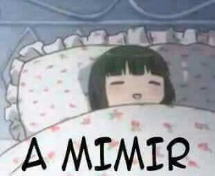 A Mimir, Clean Memes, Cartoon Memes, Anime Stickers, Otaku Anime, Reaction Pictures, Cute Icons, Mood Pics, Anime Memes