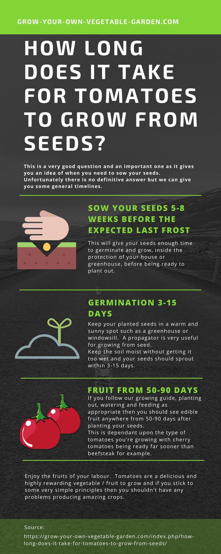 an info sheet describing how long does it take for tomatoes to grow from seeds?