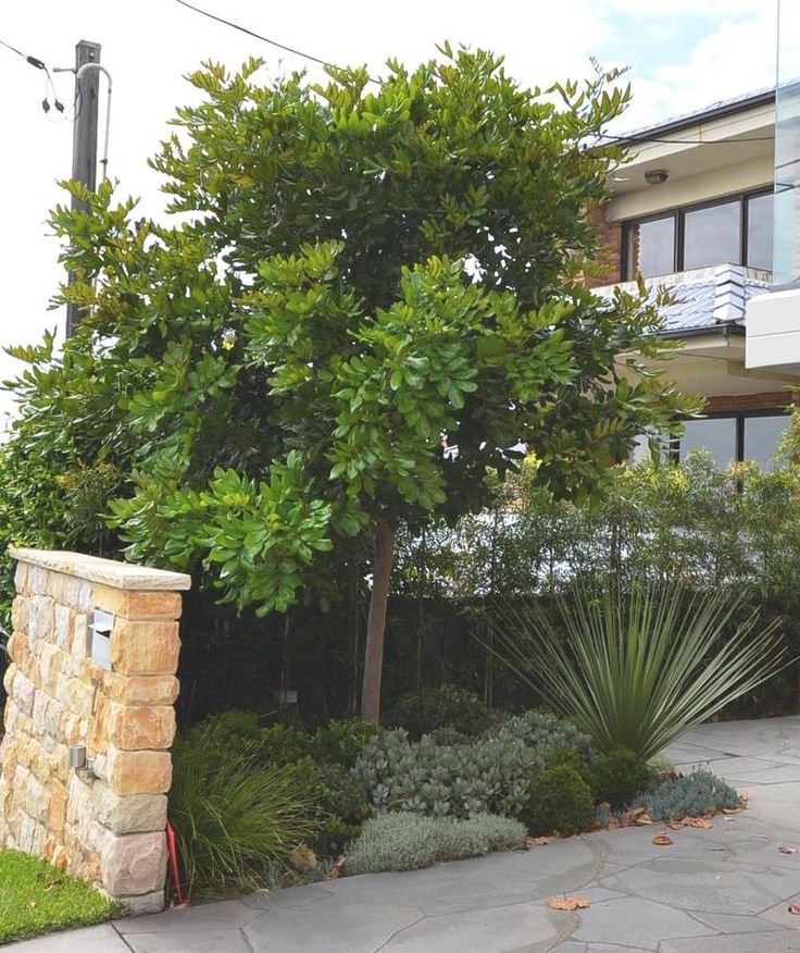 a house with trees and plants in front of it on a sidewalk next to a stone wall