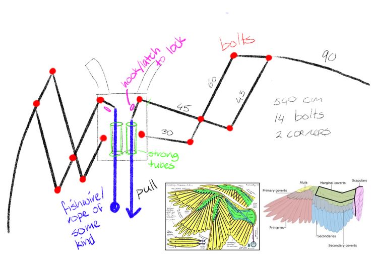 the diagram shows how to draw an upward line with arrows and lines that are labeled in red