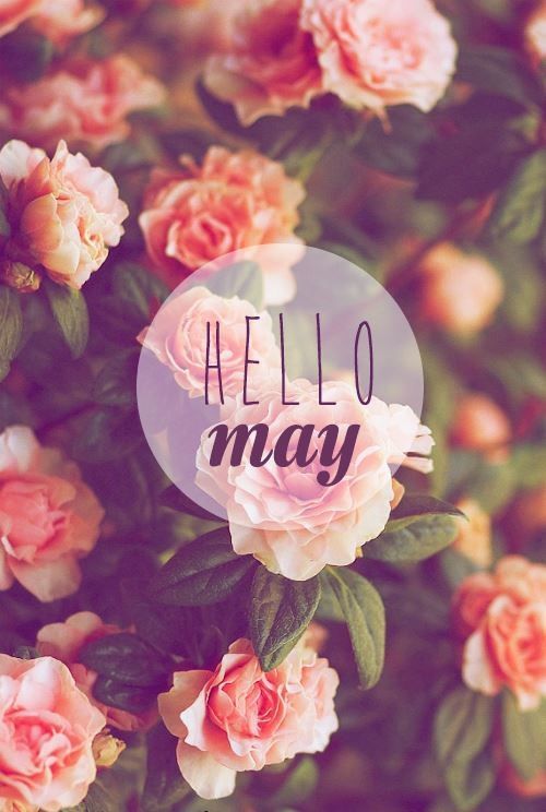 the words hello may are surrounded by pink and orange flowers with green leaves on them