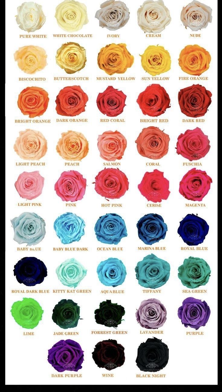 the different colors of roses are shown in this poster