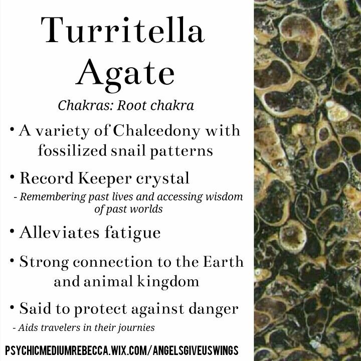 Turritella Agate crystal meaning Gray Agate Crystal Meaning, Turritella Agate Meaning, India Agate Crystal Meaning, Agate Crystal Properties, Crazy Lace Agate Crystal Meaning, Agate Crystal Meaning, Turritella Agate, Crystal Magick, Crystals Healing Properties