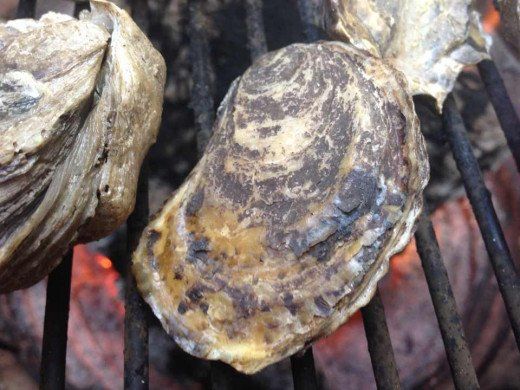 two pieces of food cooking on top of a grill