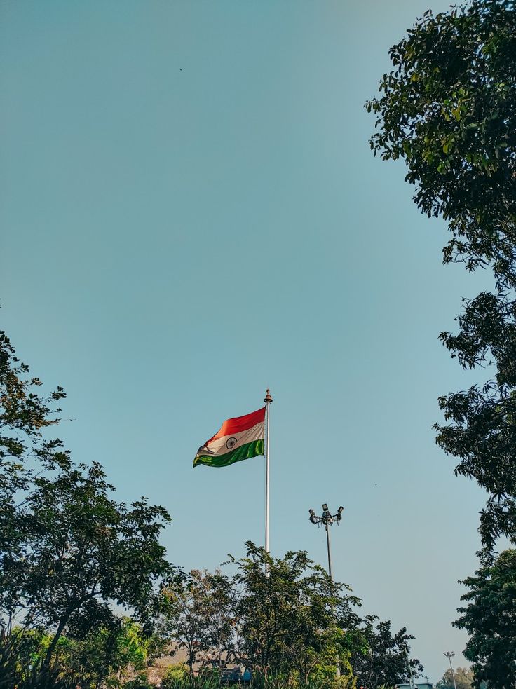 a flag flying in the air next to trees