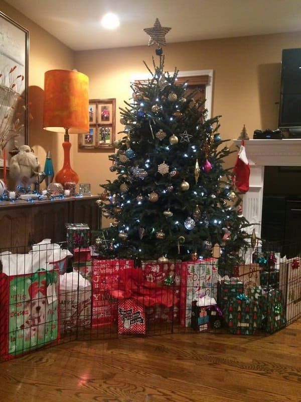 a christmas tree with presents under it in a living room