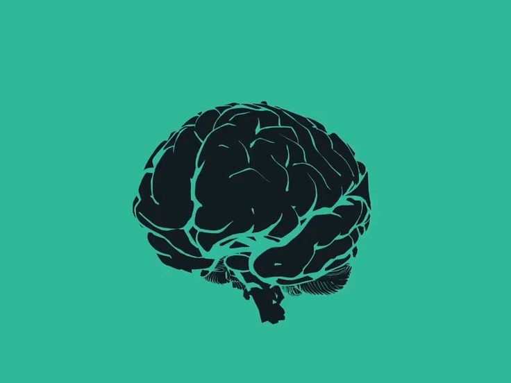 a drawing of a human brain on a green background