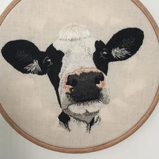 a close up of a cow's face on a white background in a wooden hoop