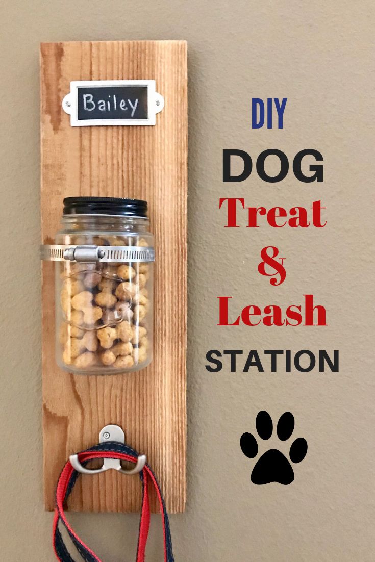 a diy dog treat and leash station