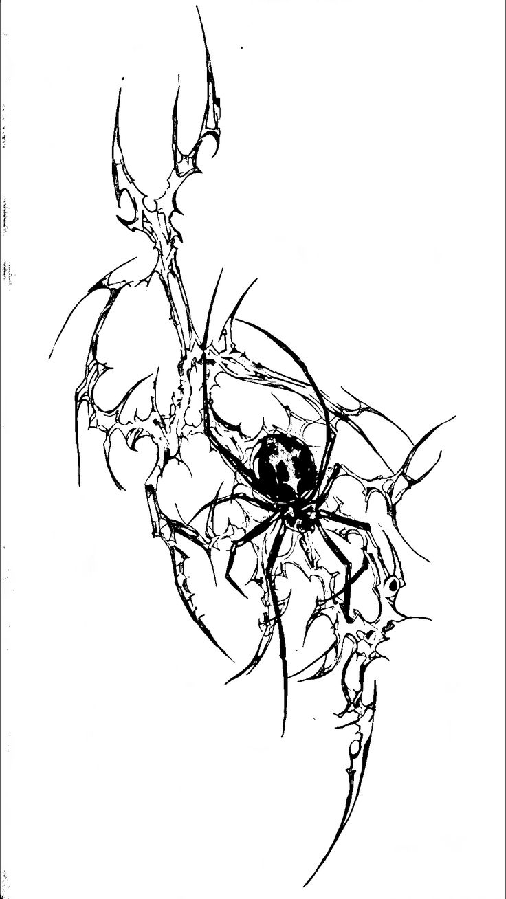 black and white drawing of a spider crawling on the side of it's body