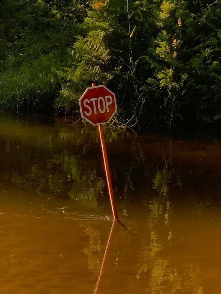 a stop sign sticking out of the water in front of some trees and bushes,