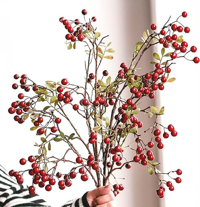 a person holding a branch with berries on it