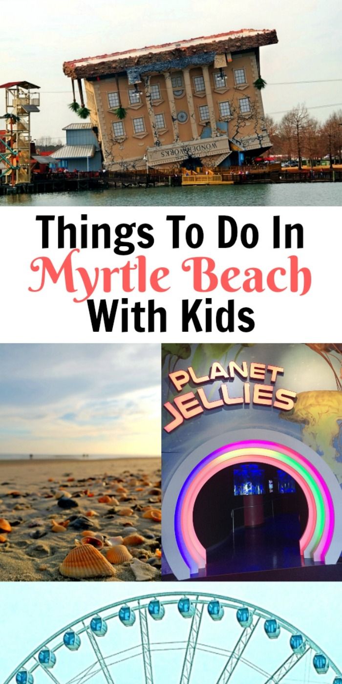 things to do in mytile beach with kids at planet jellies and an amusement park