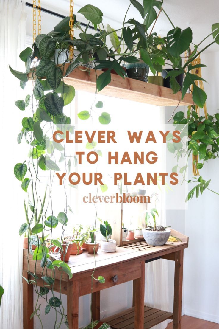 there is a sign that says clever ways to hang your plants