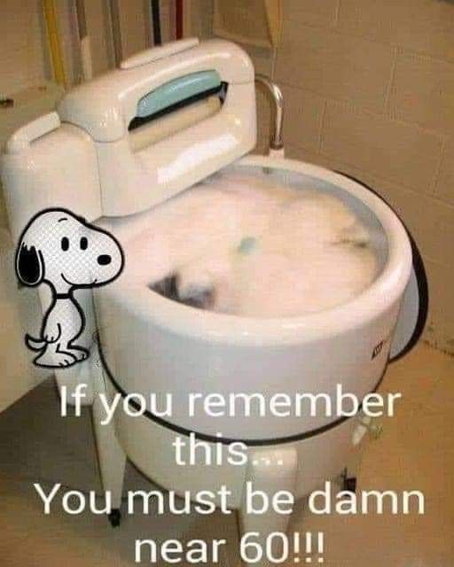 a toilet with a cartoon dog on the lid and words above it that read, if you remember this you must be damn near 60