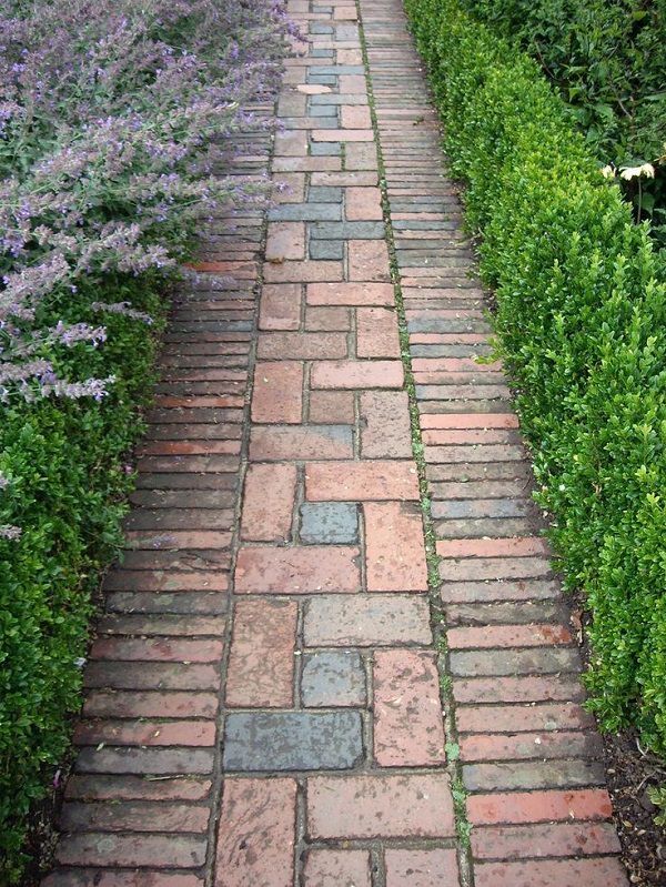 a brick path between two rows of bushes